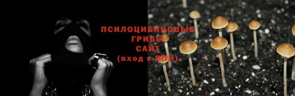крисы Володарск